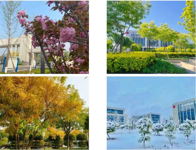 邢台应用技术职业学院的春夏秋冬